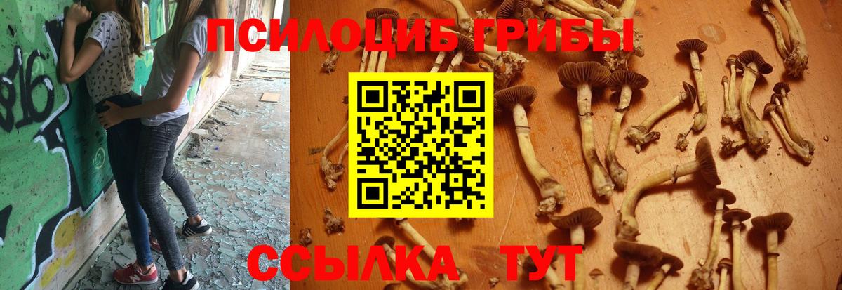Галлюциногенные грибы MAGIC MUSHROOMS Энгельс