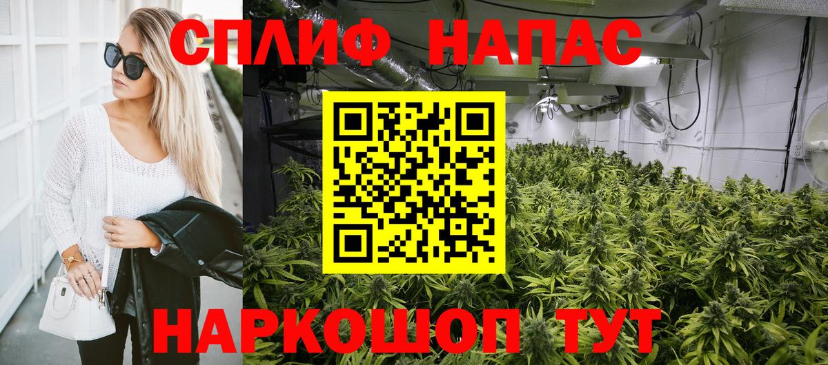 Бошки Шишки гибрид Энгельс